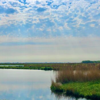 Met het Landschap Noord-Holland het Ilperveld in, op zoek naar de herfst