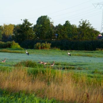 Een virtuele wandeling langs mogelijke of onmogelijke bouwprojecten
