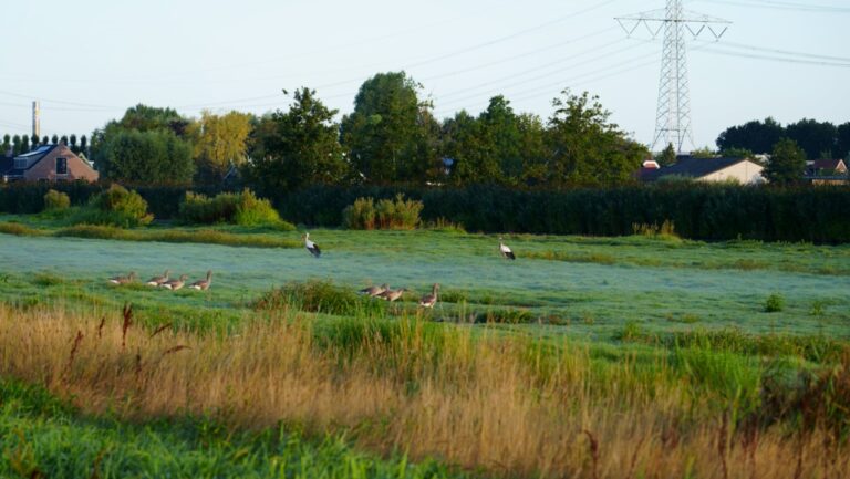 Een virtuele wandeling langs mogelijke of onmogelijke bouwprojecten