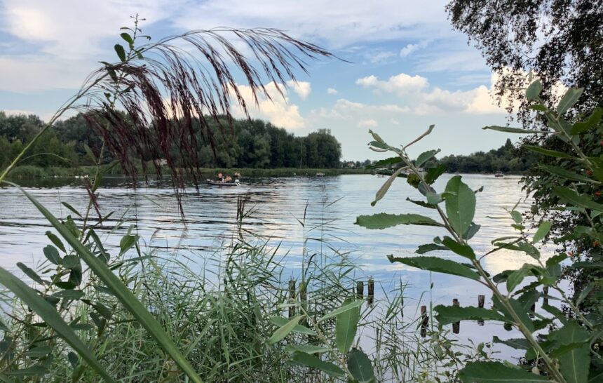 Werk mee om het Ratteneiland drassig te houden