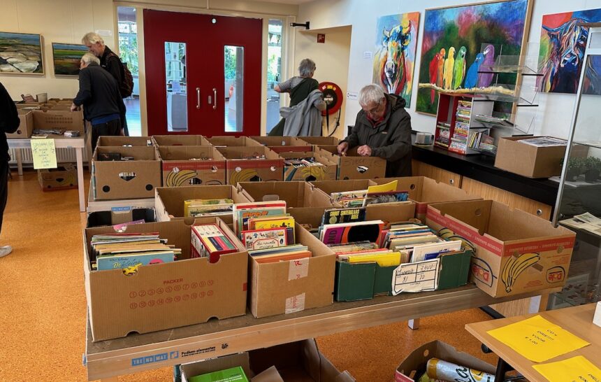 Rommelmarkt Dorpshuis brengt flink bedrag op