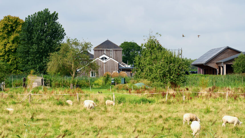 Lente ontdekken op de boerderij: open inloop bij De Marsen