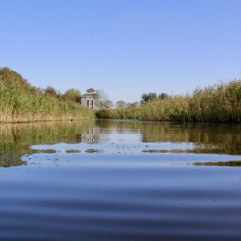 Hoogzomer in het Ilperveld