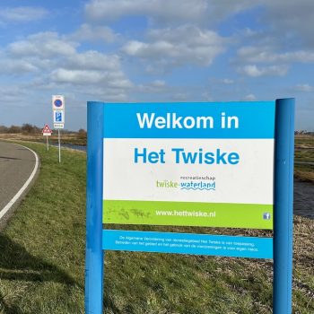 Excursie in het Twiske: leer planten herkennen die verrassend veel op elkaar lijken