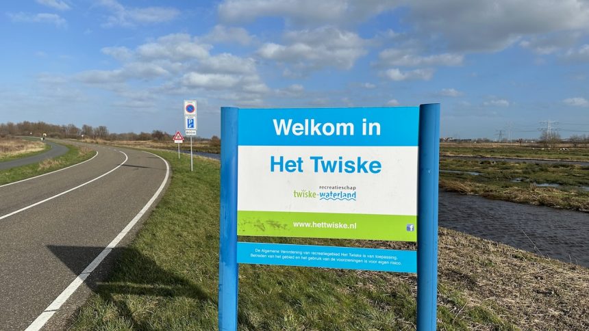 Excursie in het Twiske: leer planten herkennen die verrassend veel op elkaar lijken