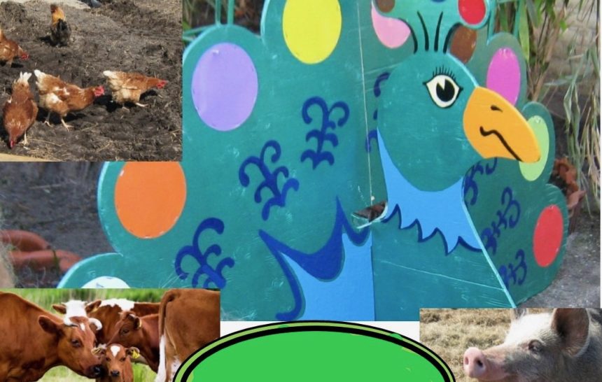 Met Pauwke de Pauw op boerensafari