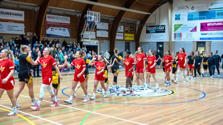 Beroerde eerste helft bezorgt TopKip Lions eerste verlies