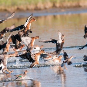 Geniet van de verstilde winterrust in het Ilperveld