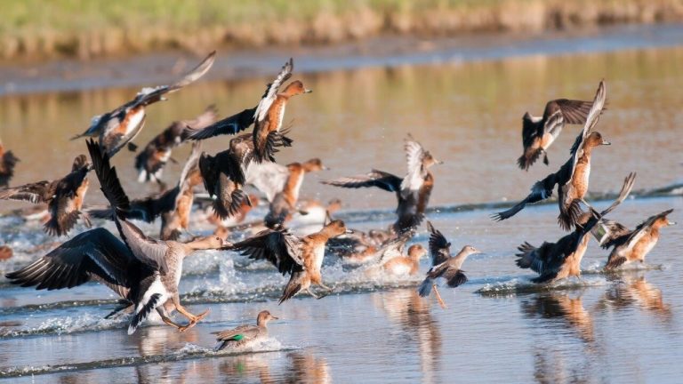 Geniet van de verstilde winterrust in het Ilperveld