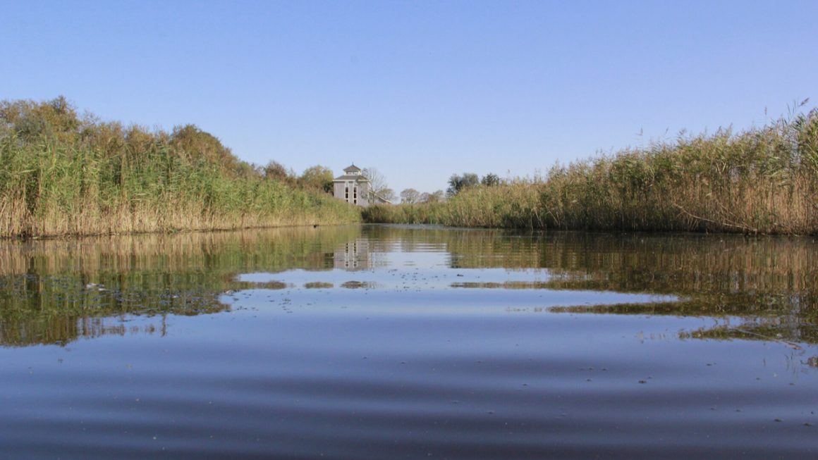 Spot de blauwe kiekendief in het Ilperveld!