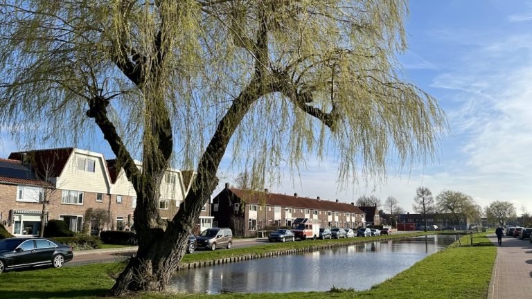 Landsmeerse vijvers worden visparels