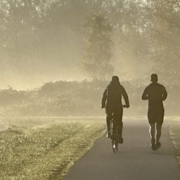 Wandelen door het Twiske