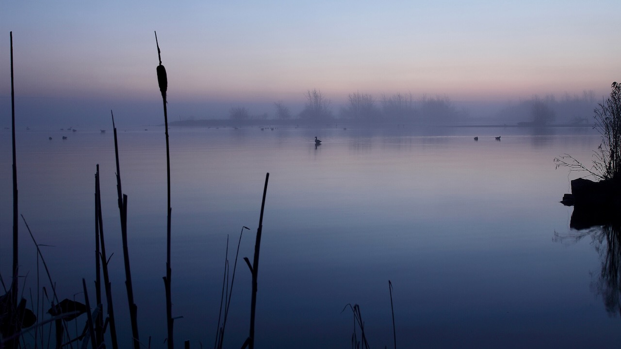 Sta vroeg op en maak prachtige foto’s in het Ilperveld