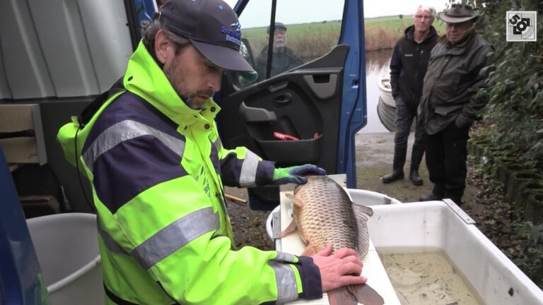 Hoe is de visstand in vergelijking met tien jaar geleden?