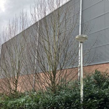Beukenboom aan Marktplein moet wijken voor verzamelcontainers