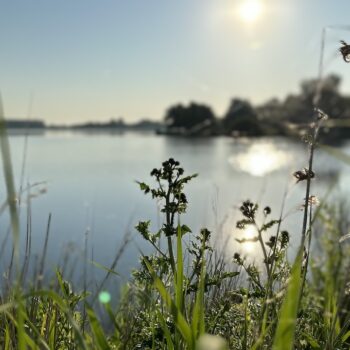 Kerkebreed zomereditie: Week 3 – Het Einde (Hoop)