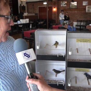 Vreemde vogels in Landsmeer!