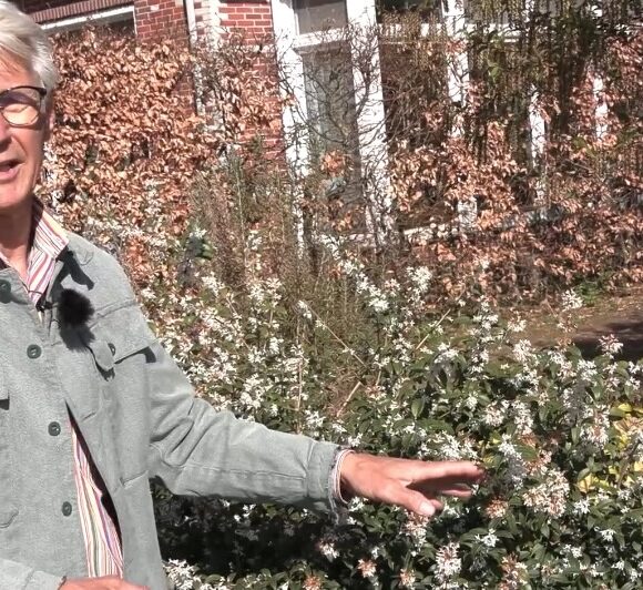 Bloeiend Landsmeer maakt een voorjaarsrondje