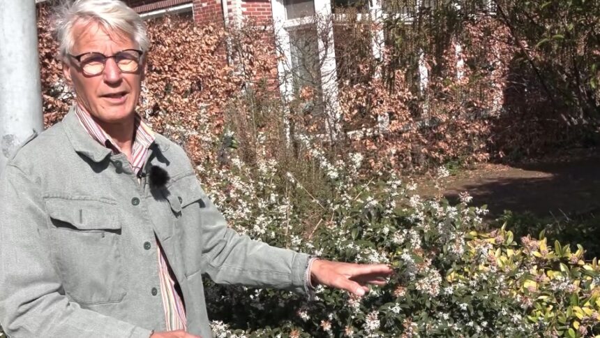 Bloeiend Landsmeer maakt een voorjaarsrondje