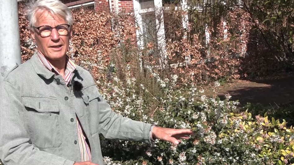 Bloeiend Landsmeer maakt een voorjaarsrondje
