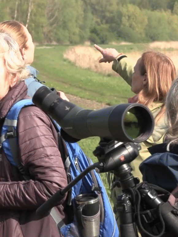 Vogelsafari in het Twiske