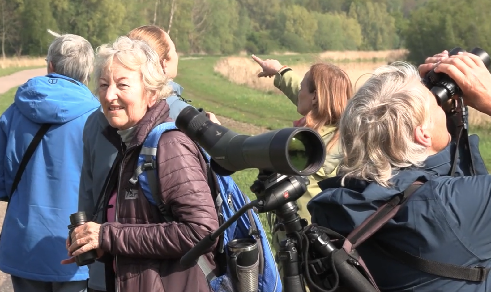 Vogelsafari in het Twiske
