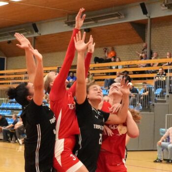 DSC03710 (1) Bettonvil