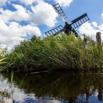 Ontluikende natuur bewonderen tijdens vaartocht door het Ilperveld