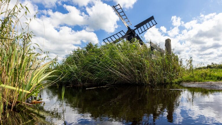 Ontluikende natuur bewonderen tijdens vaartocht door het Ilperveld