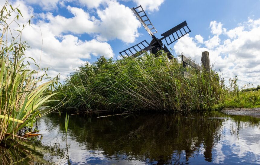 Ontluikende natuur bewonderen tijdens vaartocht door het Ilperveld