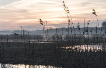 Fotowaardige vaartocht door het Ilperveld bij zonsopkomst