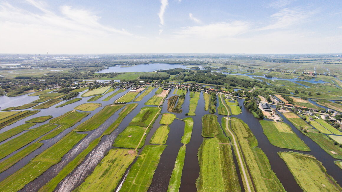Vaarexcursie: Hoogzomer in het Ilperveld