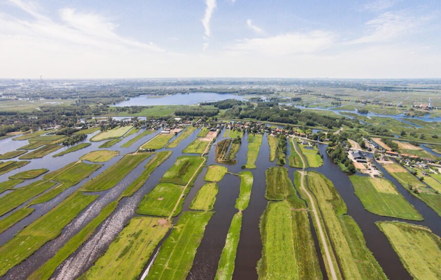 Vaarexcursie: Hoogzomer in het Ilperveld
