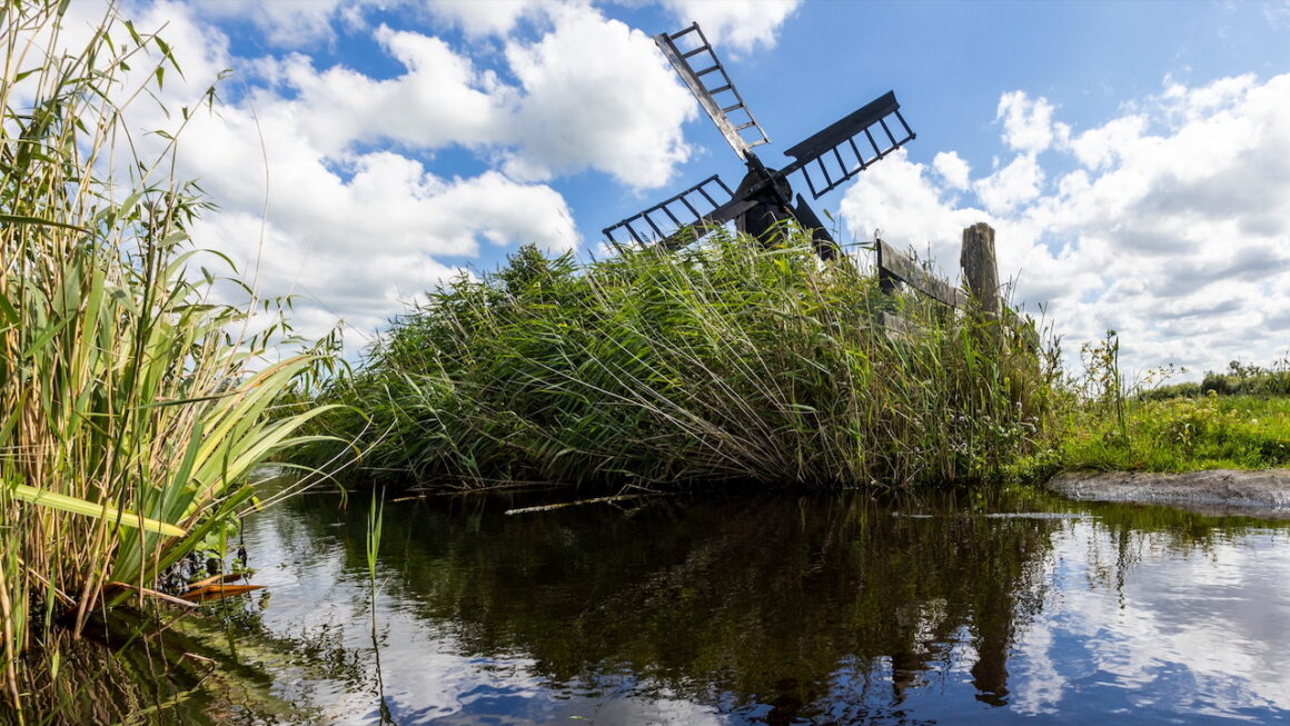 Leven in en rond het water van het Ilperveld