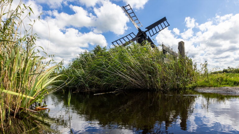Leven in en rond het water van het Ilperveld