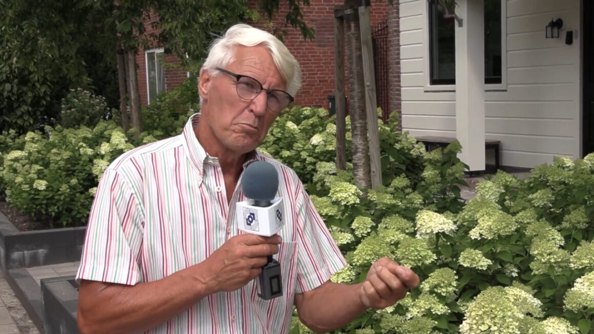 Hortensia: waterliefhebber in volle bloei