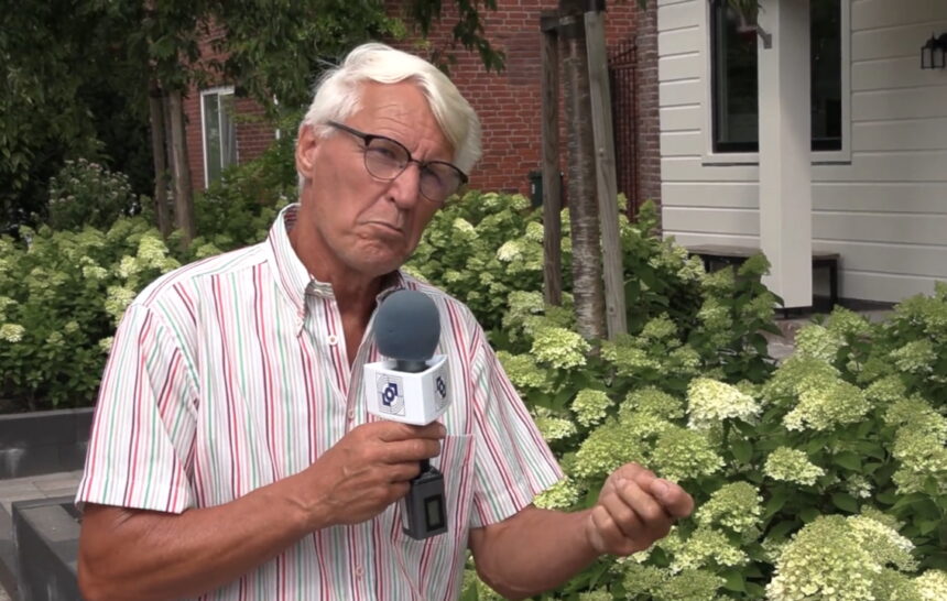 Hortensia: waterliefhebber in volle bloei