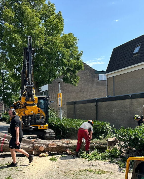 Havenzathe project 3 begonnen