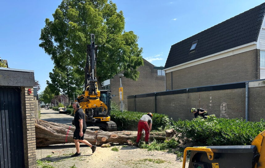 Havenzathe project 3 begonnen