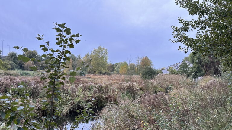 Woningbouwdossiers: Zuideinde 99