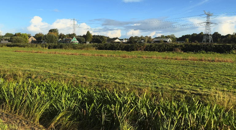 Woningbouwdossiers: Oostelijk van het Zuideinde