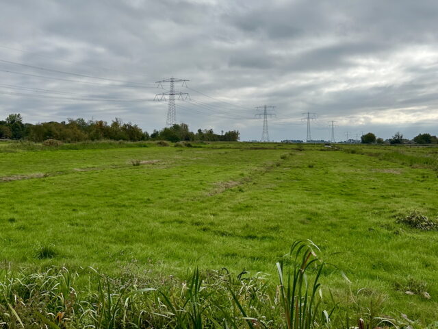 Overzicht en conclusies