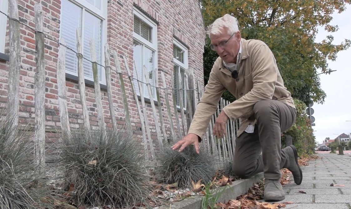 Screenshot 2025-10-19 at 15.52.27 Siergrassen