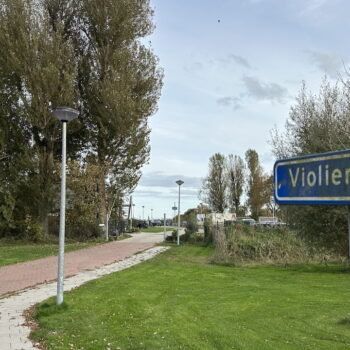 Violierweg