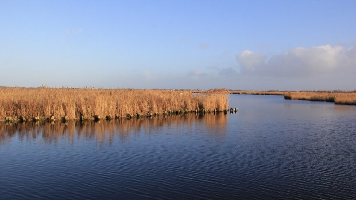 Landschap Noord-Holland