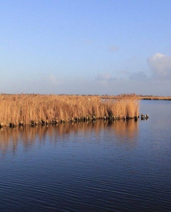 Landschap Noord-Holland