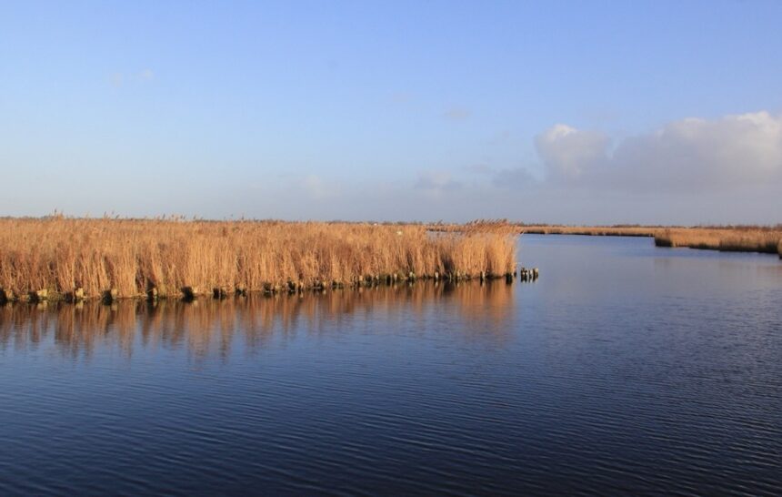 Landschap Noord-Holland