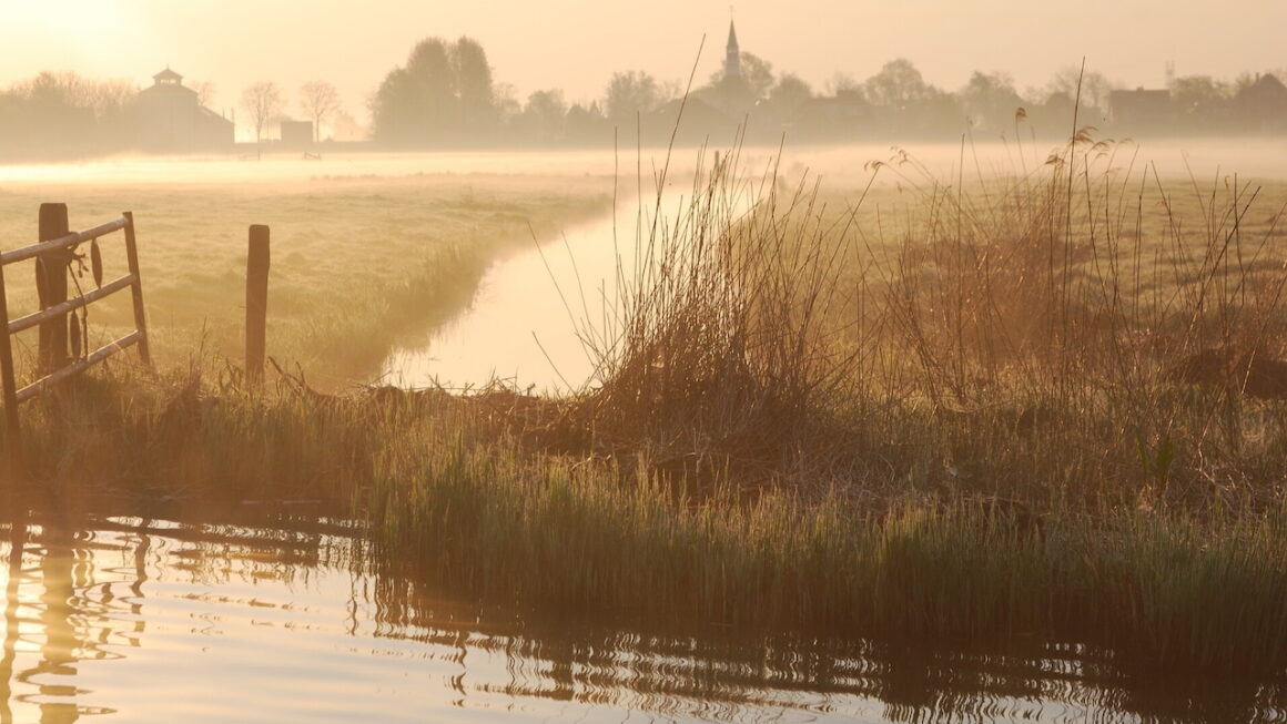 Herfstkleuren in het Ilperveld