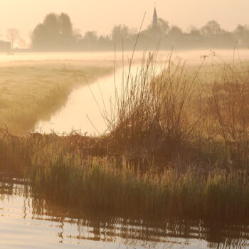 Image (368) Herfstkleuren in het Ilperveld