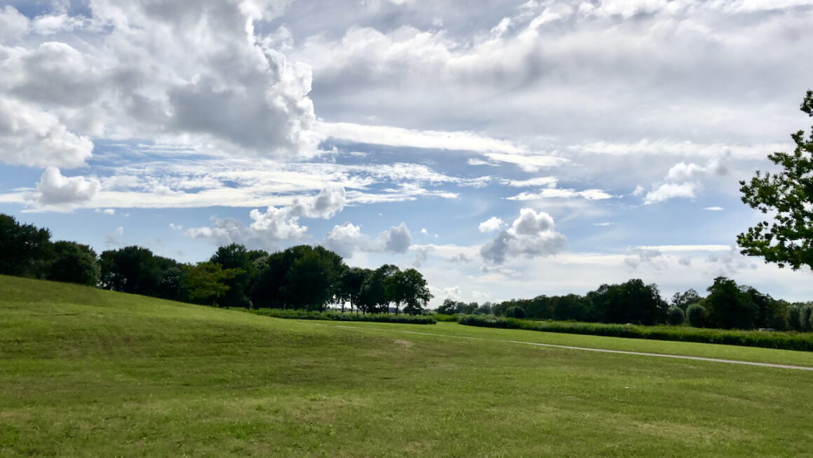 Actiegroepen waarschuwen Provincie: “Natuur Twiske staat op omvallen”
